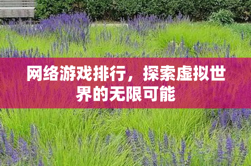 网络游戏排行，探索虚拟世界的无限可能