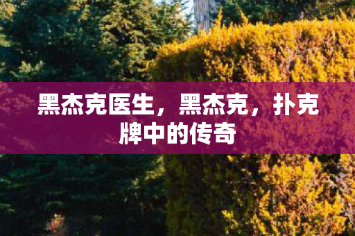 黑杰克医生，黑杰克，扑克牌中的传奇