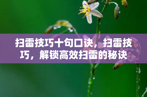 扫雷技巧十句口诀，扫雷技巧，解锁高效扫雷的秘诀