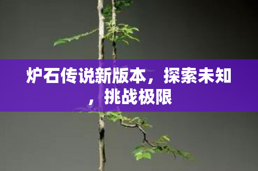 炉石传说新版本，探索未知，挑战极限