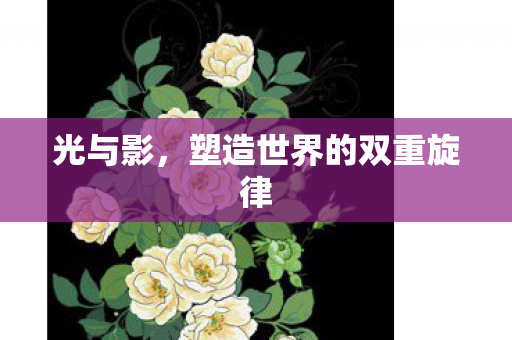 光与影，塑造世界的双重旋律