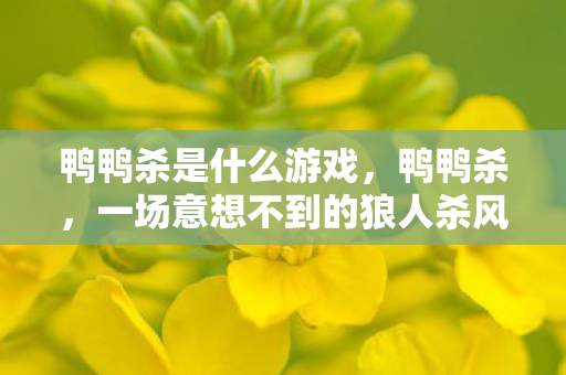 鸭鸭杀是什么游戏，鸭鸭杀，一场意想不到的狼人杀风潮