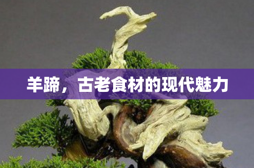 羊蹄，古老食材的现代魅力