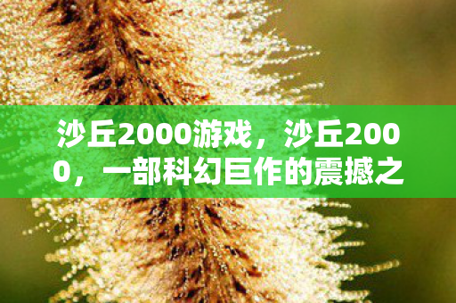沙丘2000游戏，沙丘2000，一部科幻巨作的震撼之旅
