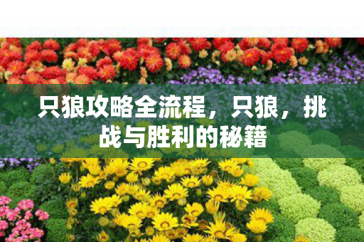 只狼攻略全流程，只狼，挑战与胜利的秘籍