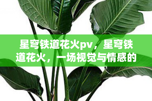 星穹铁道花火pv,星穹铁道花火,一场视觉与情感的盛宴 星穹铁道花火pv,星穹铁道花火,一场视觉与情感的盛宴