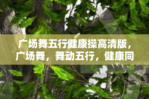 广场舞五行健康操高清版图片