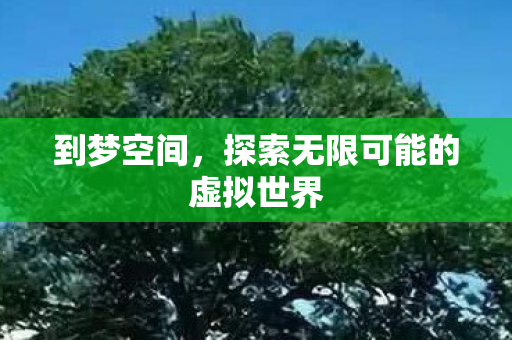 到梦空间，探索无限可能的虚拟世界