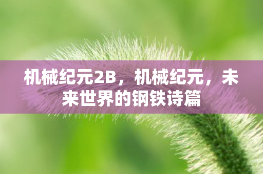 机械纪元2B，机械纪元，未来世界的钢铁诗篇