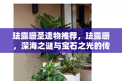 珐露珊圣遗物推荐，珐露珊，深海之谜与宝石之光的传奇