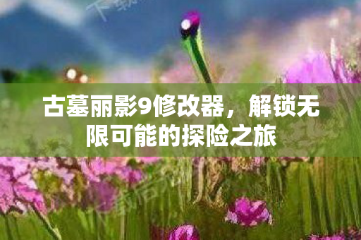 古墓丽影9修改器，解锁无限可能的探险之旅