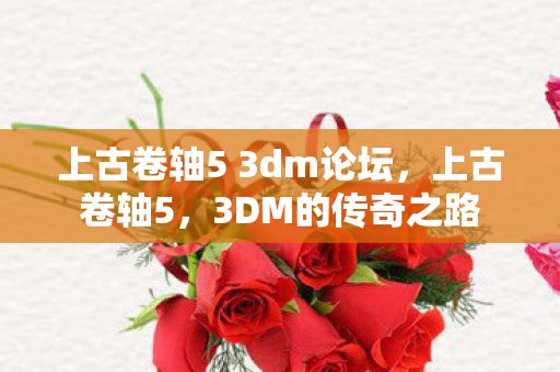上古卷轴5 3dm论坛，上古卷轴5，3DM的传奇之路