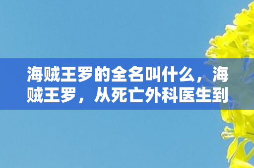 海贼王罗的全名叫什么,海贼王罗,从死亡外科医生到草帽团的传奇之路 海贼王罗的全名叫什么,海贼王罗,从死亡外科医生到草帽团的传奇之路
