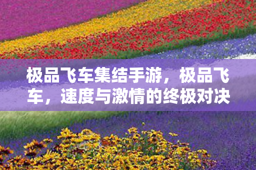 极品飞车集结手游，极品飞车，速度与激情的终极对决