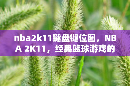 nba2k11键盘键位图图片