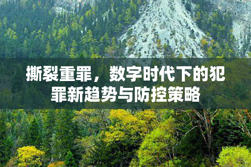 撕裂重罪，数字时代下的犯罪新趋势与防控策略