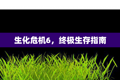 生化危机6，终极生存指南