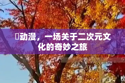 囧动漫，一场关于二次元文化的奇妙之旅