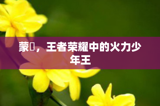 蒙犽,王者荣耀中的火力少年王 蒙犽,王者荣耀中的火力少年王