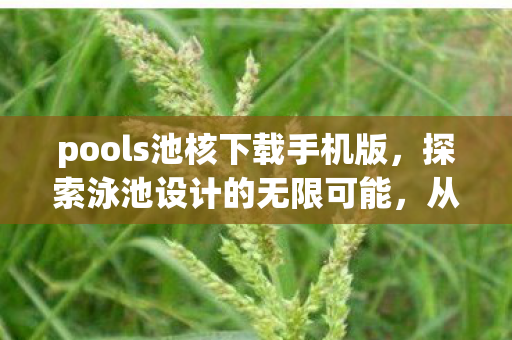 pools池核下载手机版，探索泳池设计的无限可能，从功能到美学的全面解析