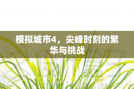模拟城市4，尖峰时刻的繁华与挑战