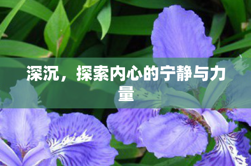 深沉，探索内心的宁静与力量