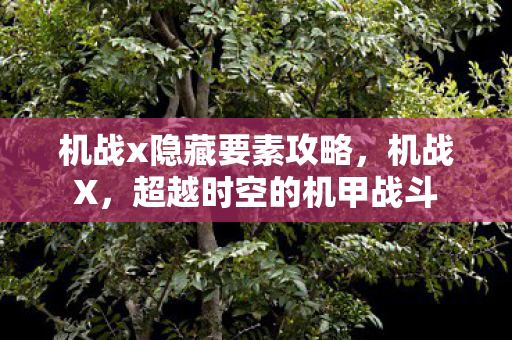 机战x隐藏要素攻略,机战X,超越时空的机甲战斗 机战x隐藏要素攻略,机战X,超越时空的机甲战斗