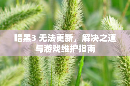 暗黑3 无法更新，解决之道与游戏维护指南