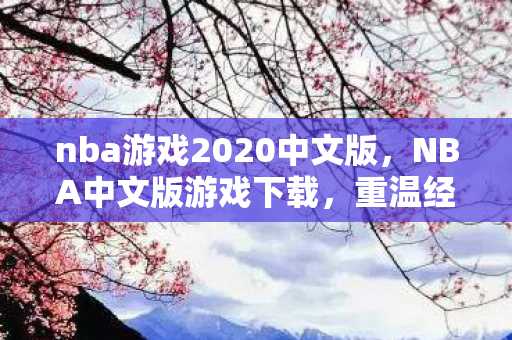 nba游戏2020中文版,NBA中文版游戏下载,重温经典,畅享篮球盛宴 nba游戏2020中文版,NBA中文版游戏下载,重温经典,畅享篮球盛宴