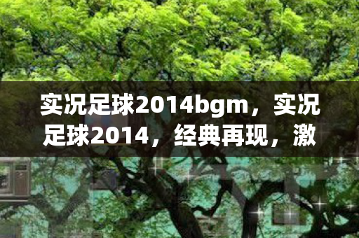 实况足球2014bgm，实况足球2014，经典再现，激情燃烧的岁月