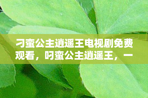 刁蛮公主逍遥王电视剧免费观看，叼蛮公主逍遥王，一场跨越身份的浪漫传奇