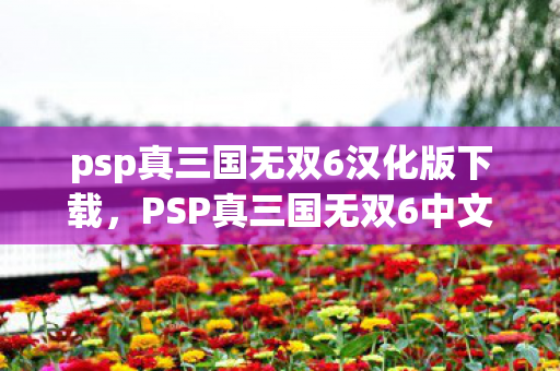 psp真三国无双6汉化版下载，PSP真三国无双6中文版下载全攻略