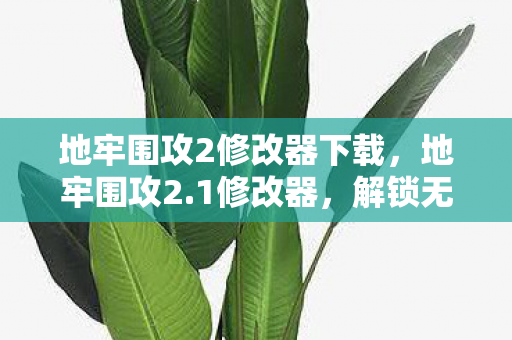 地牢围攻2修改器下载，地牢围攻2.1修改器，解锁无限可能的冒险之旅