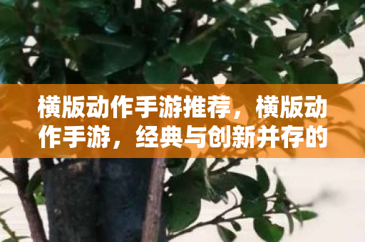 横版动作手游推荐，横版动作手游，经典与创新并存的移动娱乐新篇章