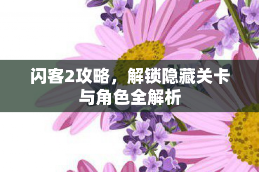 闪客2攻略，解锁隐藏关卡与角色全解析