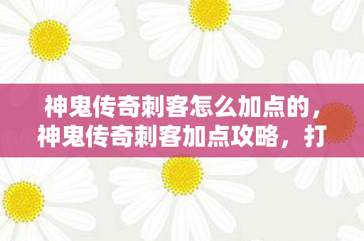 神鬼传奇刺客怎么加点的，神鬼传奇刺客加点攻略，打造无敌刺杀能力