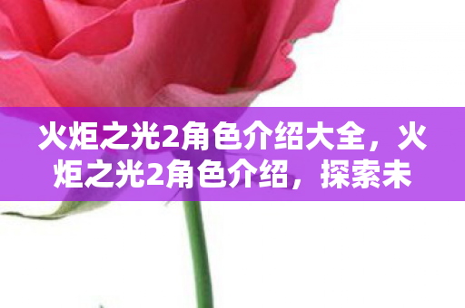 火炬之光2角色介绍大全,火炬之光2角色介绍,探索未知世界的勇士们 火炬之光2角色介绍大全,火炬之光2角色介绍,探索未知世界的勇士们