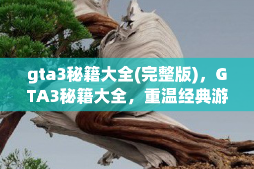gta3秘籍大全(完整版)，GTA3秘籍大全，重温经典游戏的无限可能