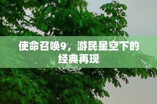 使命召唤9，游民星空下的经典再现