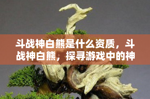 斗战神白熊是什么资质，斗战神白熊，探寻游戏中的神秘存在