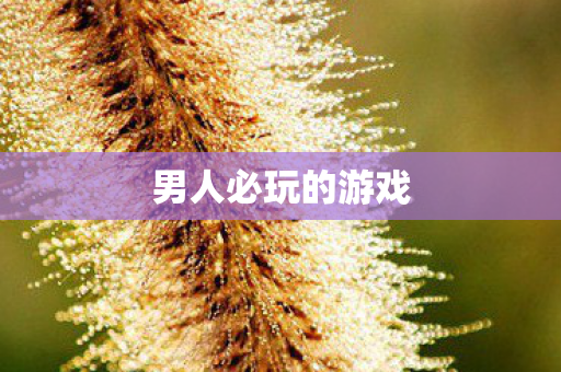 男人必玩的游戏