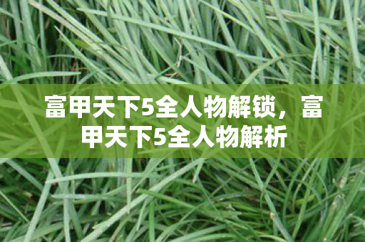 富甲天下5全人物解锁,富甲天下5全人物解析 富甲天下5全人物解锁,富甲天下5全人物解析