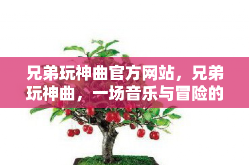 兄弟玩神曲官方网站，兄弟玩神曲，一场音乐与冒险的盛宴