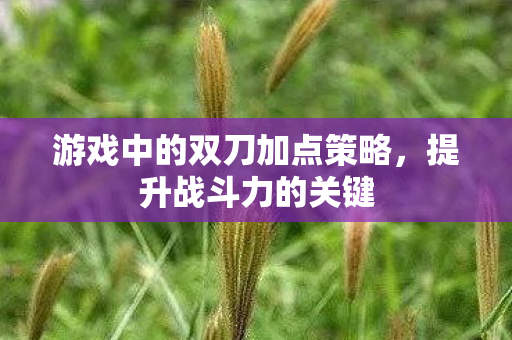 游戏中的双刀加点策略，提升战斗力的关键