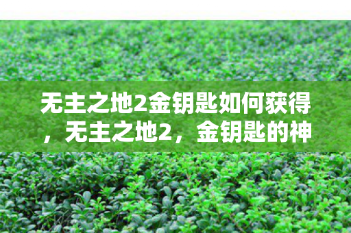 无主之地2金钥匙如何获得，无主之地2，金钥匙的神秘之旅