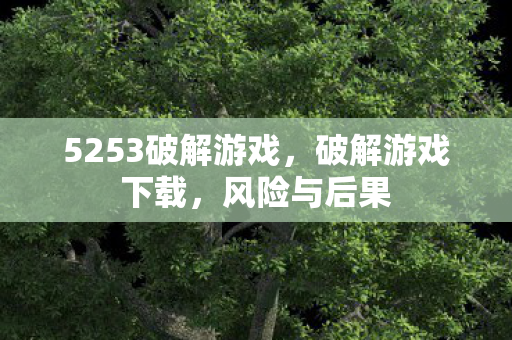 5253破解游戏，破解游戏下载，风险与后果