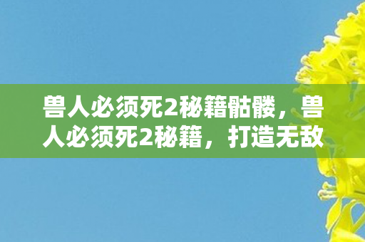 兽人必须死2秘籍骷髅，兽人必须死2秘籍，打造无敌防御的终极指南
