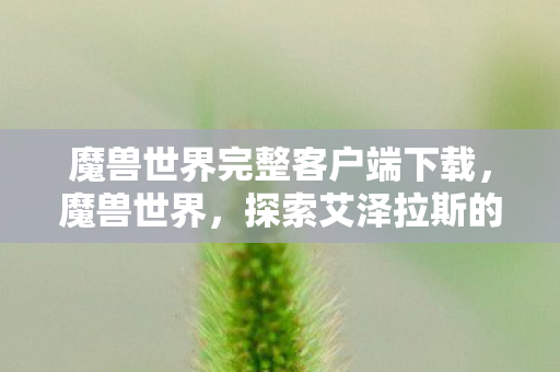 魔兽世界完整客户端下载,魔兽世界,探索艾泽拉斯的奇幻之旅 魔兽世界完整客户端下载,魔兽世界,探索艾泽拉斯的奇幻之旅
