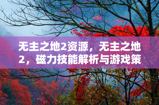 无主之地2资源,无主之地2,磁力技能解析与游戏策略 无主之地2资源,无主之地2,磁力技能解析与游戏策略