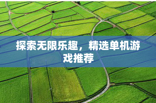探索无限乐趣，精选单机游戏推荐